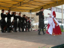 Milano 2008